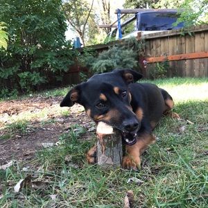 Meet your Posher, Sonja